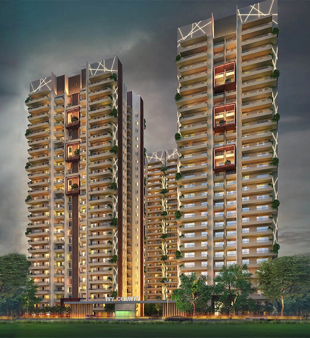 Ivy County, Noida